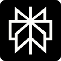 Логотип Perplexity
