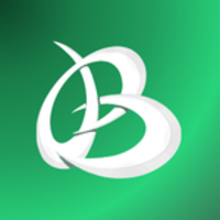 Логотип Brandolia